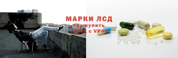 ГАЛЛЮЦИНОГЕННЫЕ ГРИБЫ Аркадак