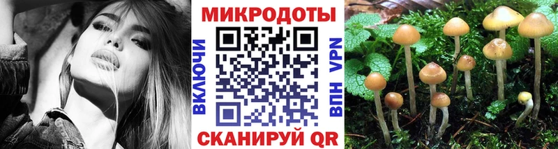 Купить  Ливны  Псилоцибиновые грибы Psilocybe 